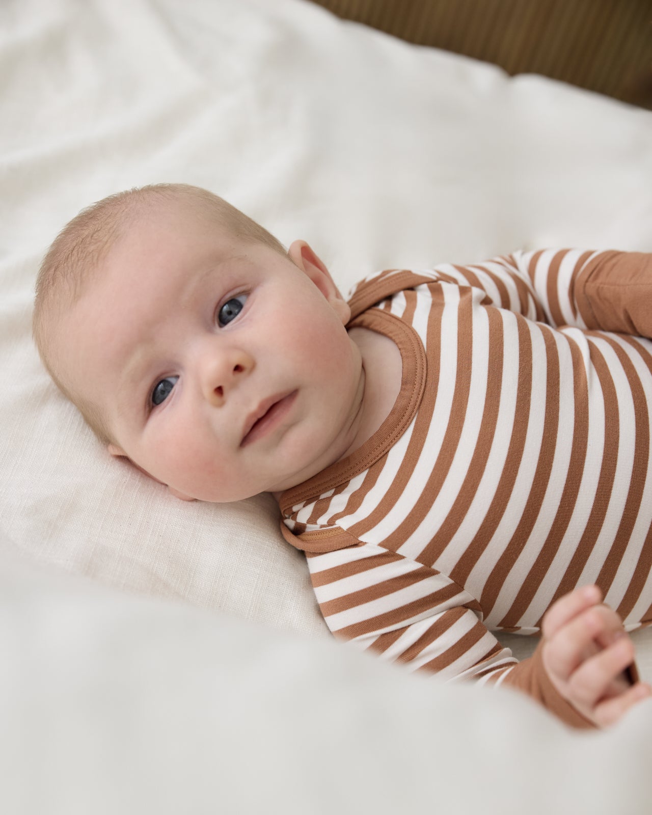 Chestnut Brown Stripe Crescent Zippy - Image 5