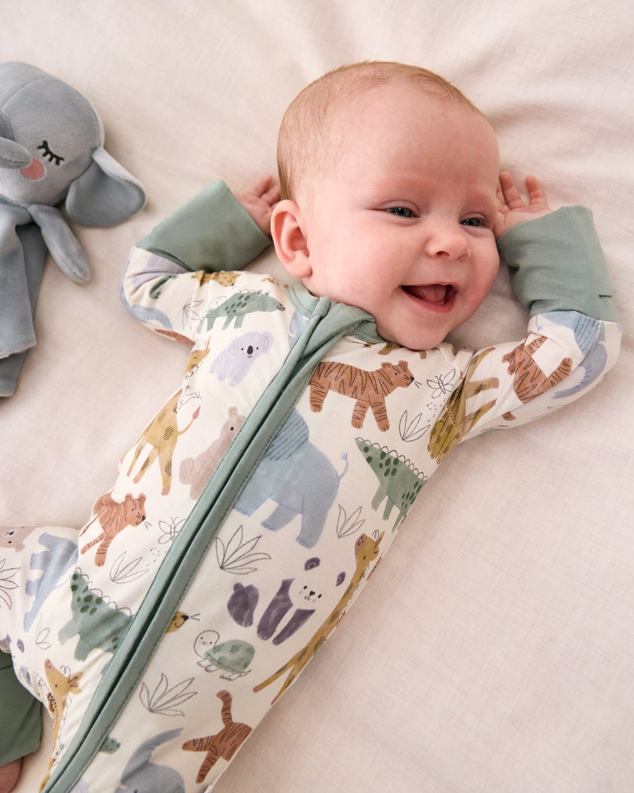 Sweet Safari Zippy - Image 2