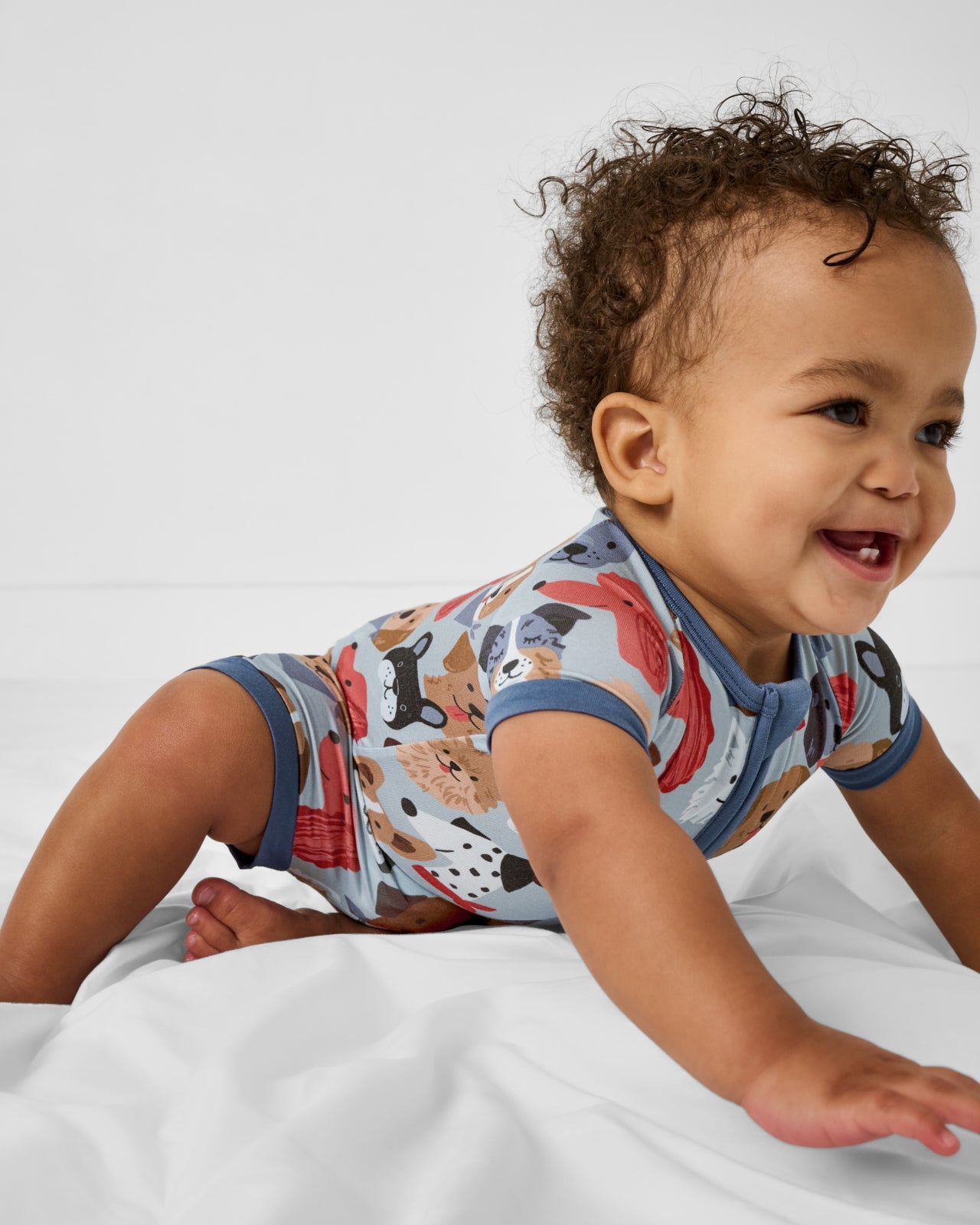 Gray Puppy Parade Shorty Zippy - Image 3