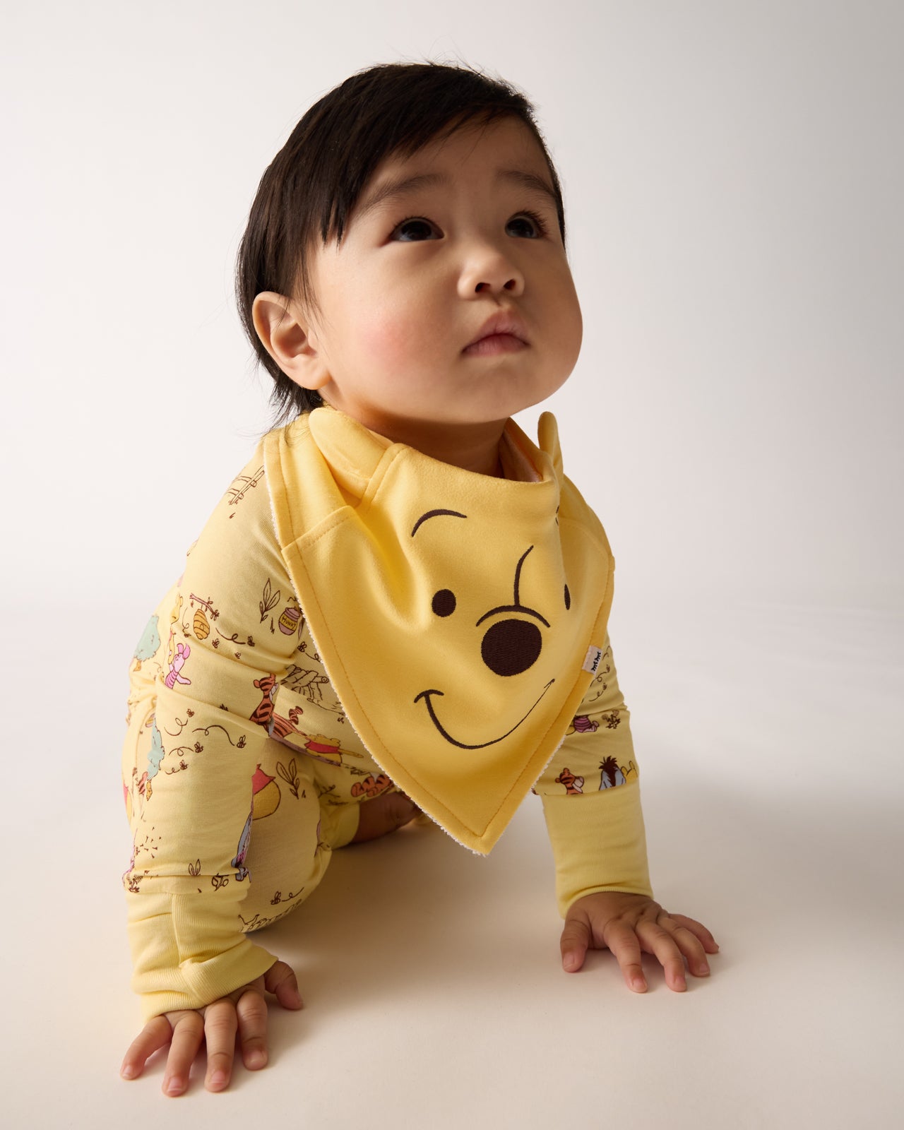 Disney Winnie The Pooh Bandana Bib