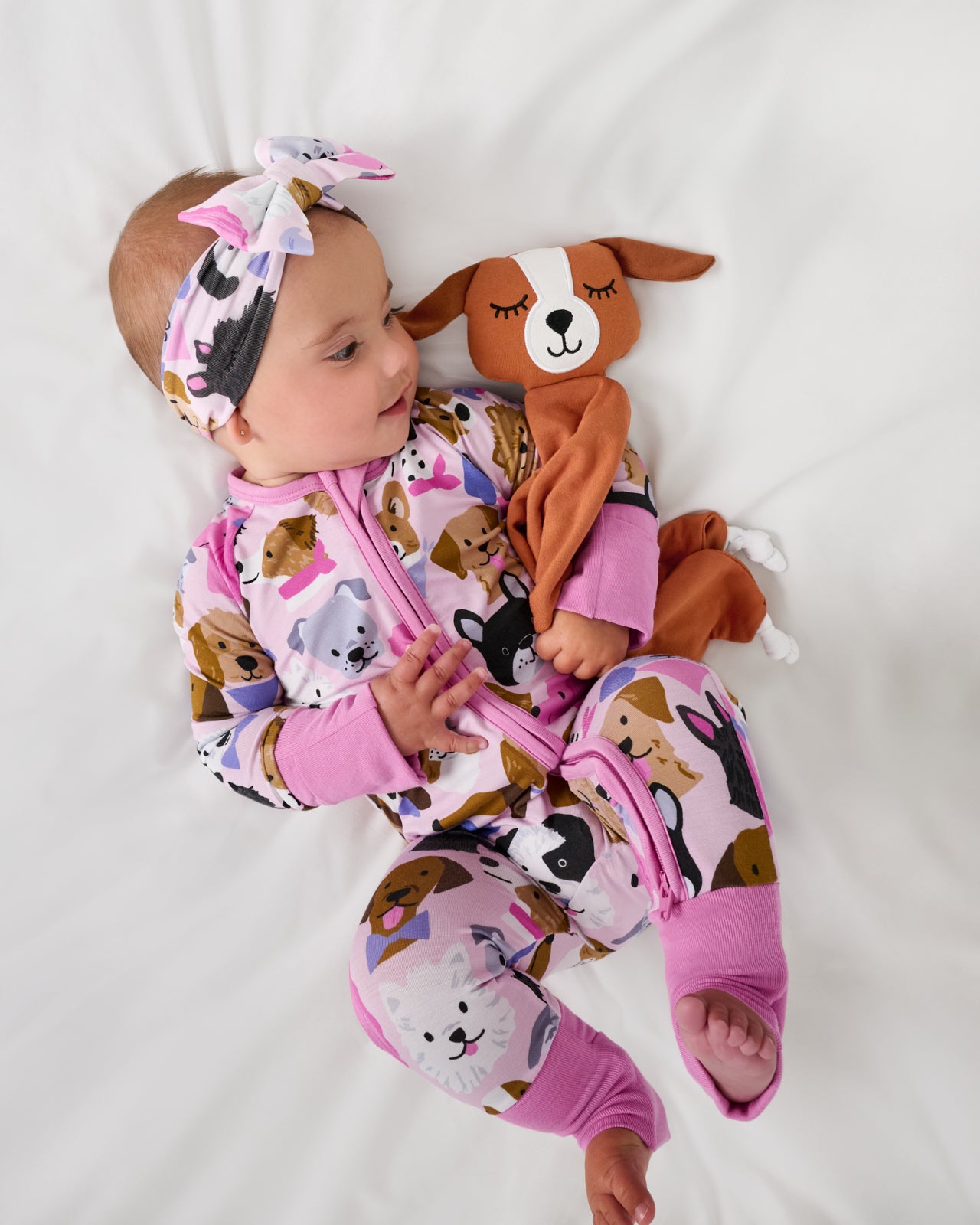 Pink Puppy Parade Zippy - Image 4