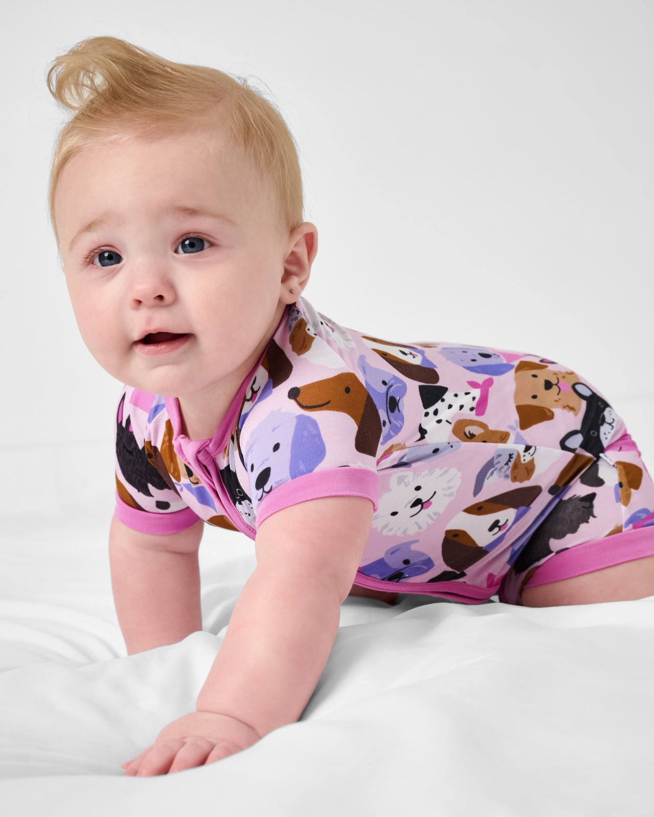 Pink Puppy Parade Shorty Zippy - Image 2