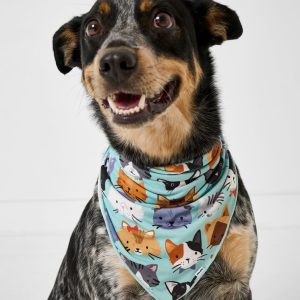 Purrfect Pals Pet Bandana