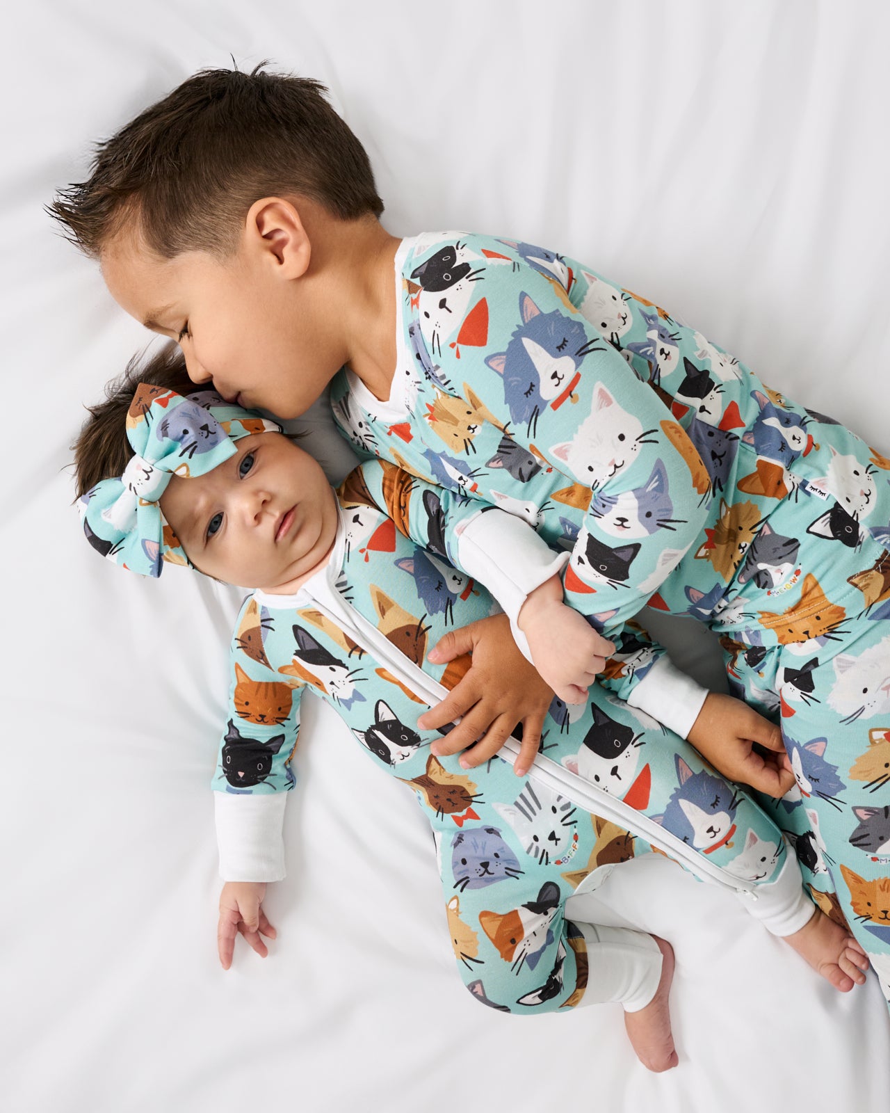 Purrfect Pals Zippy - Image 5