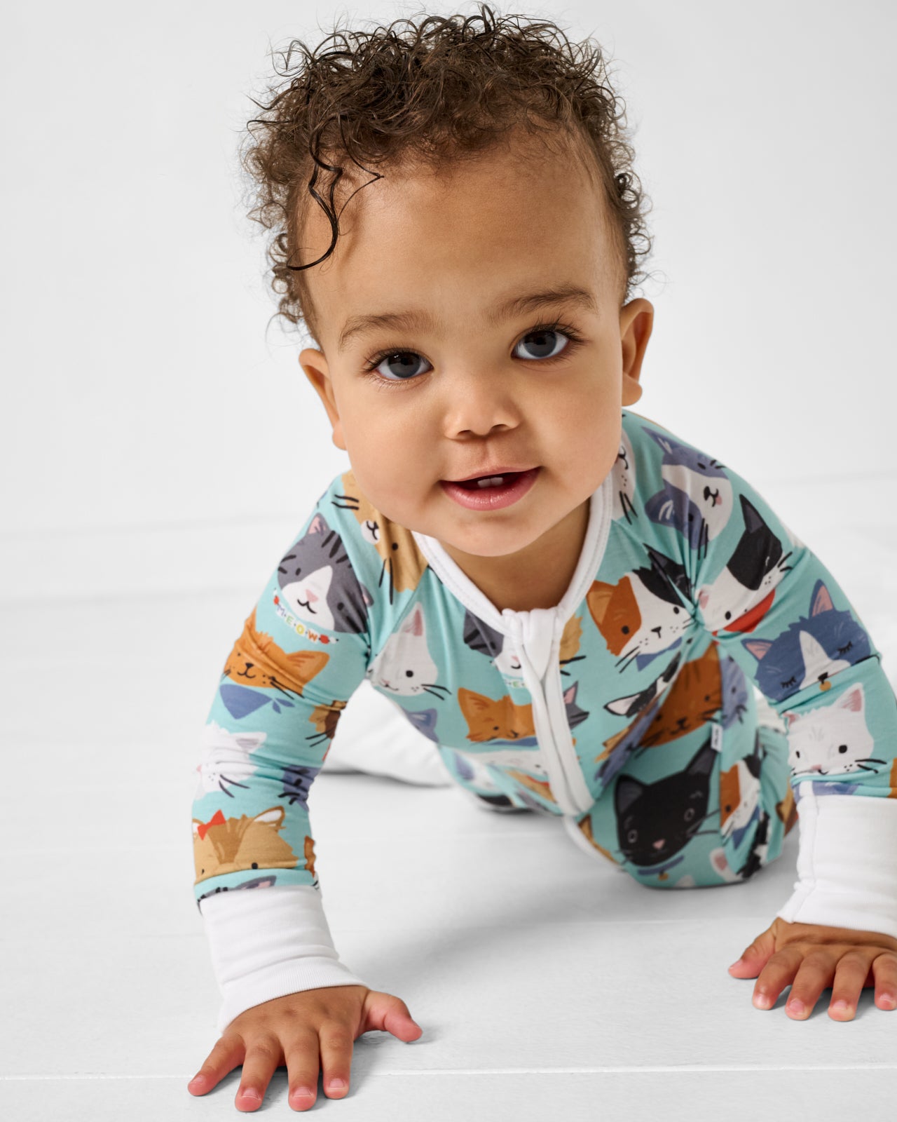 Purrfect Pals Zippy - Image 2