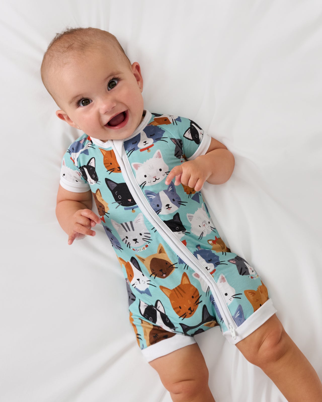 Purrfect Pals Shorty Zippy