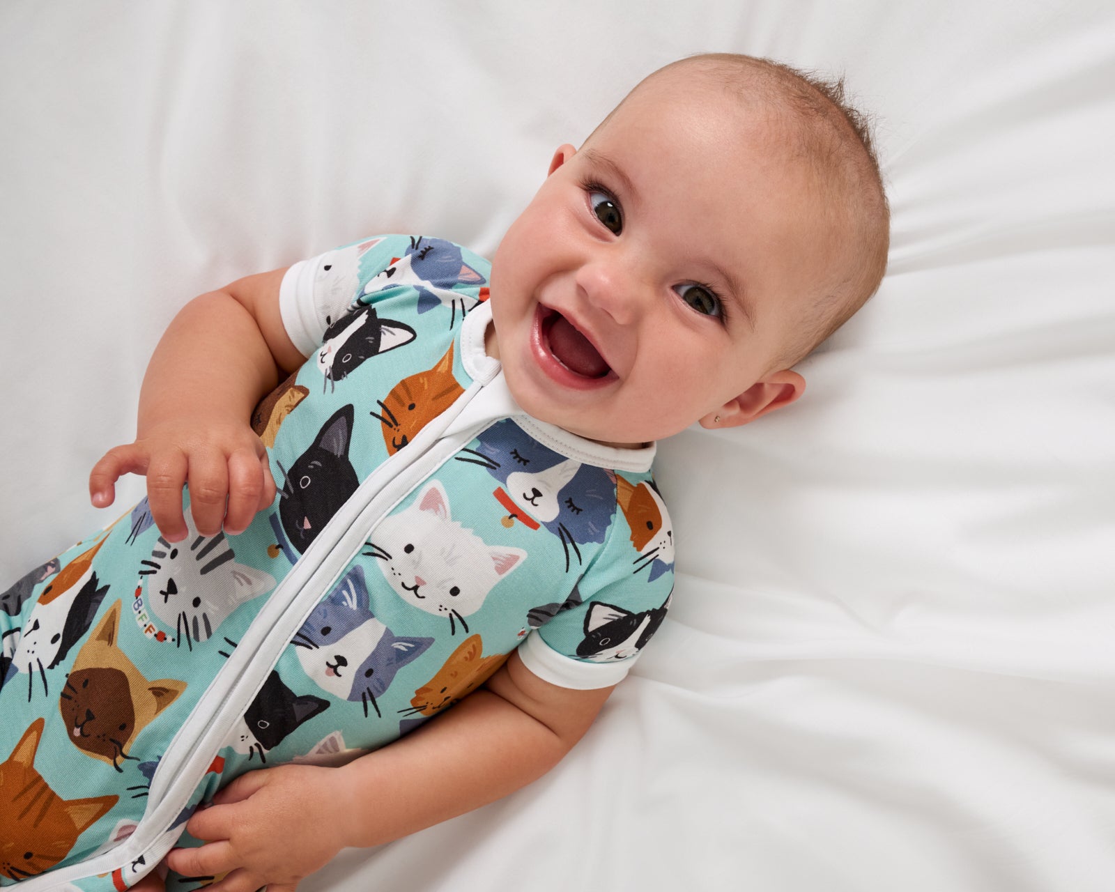 Purrfect Pals Shorty Zippy - Image 3