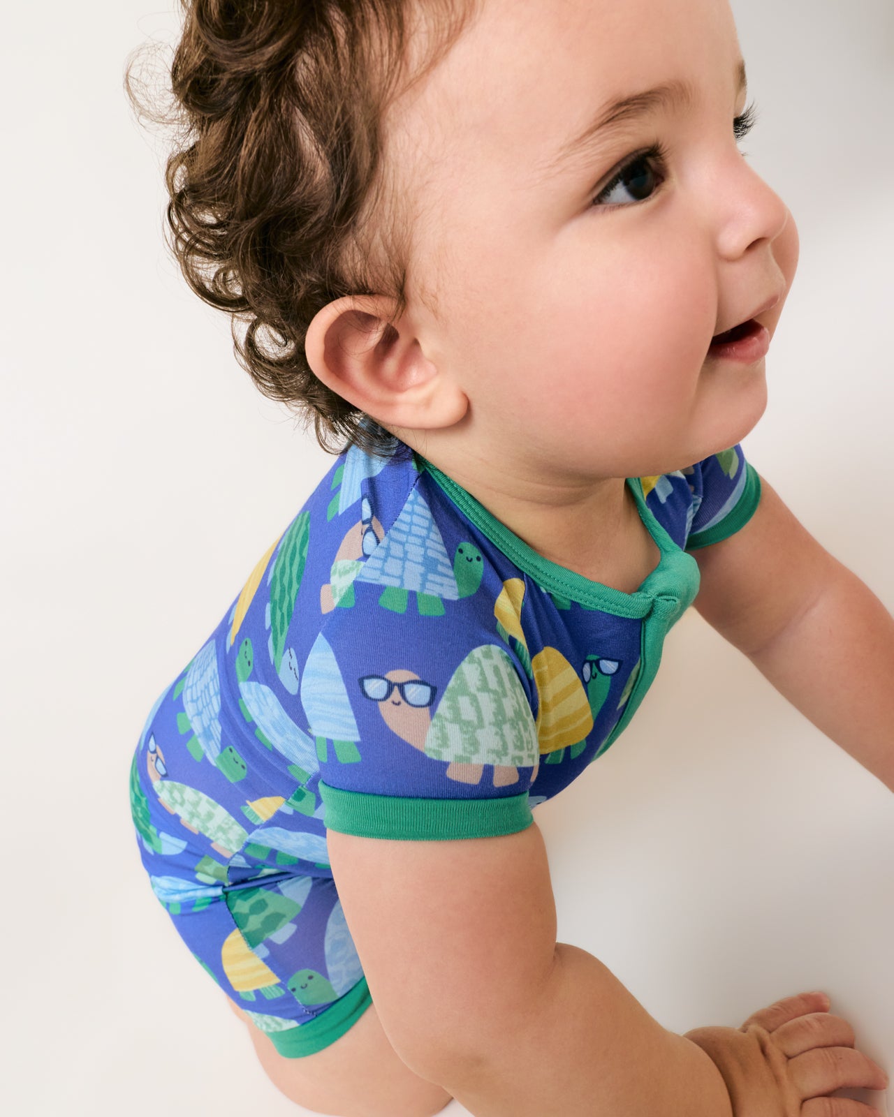 Shell Parade Shorty Zippy - Image 3