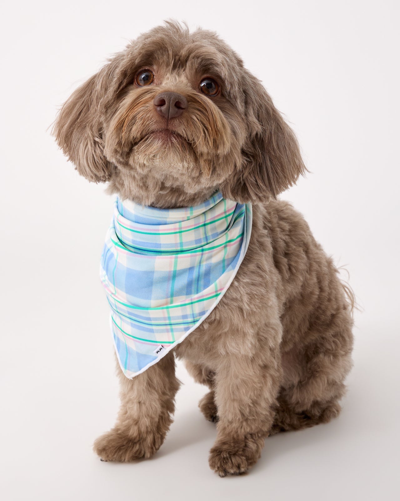 Springtime Plaid Pet Bandana