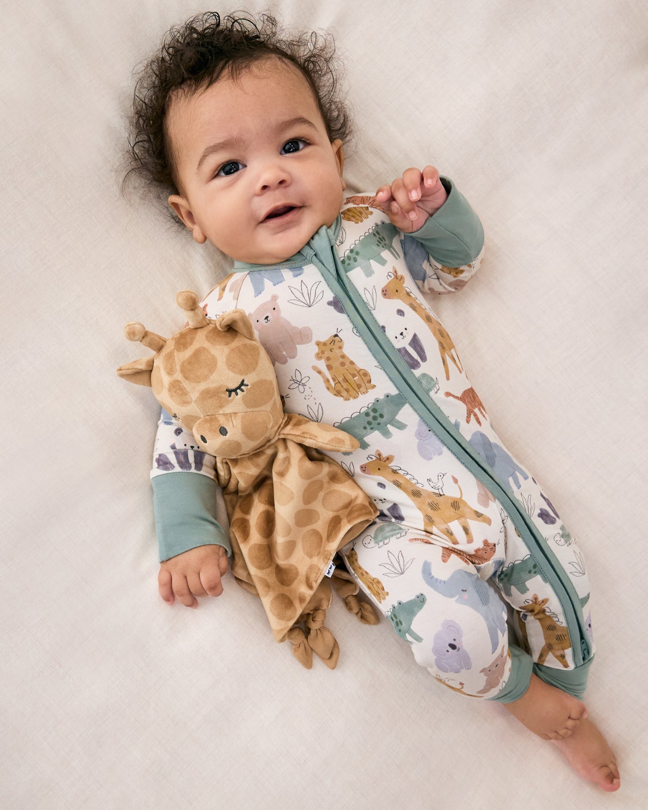 Sweet Safari Zippy - Image 5