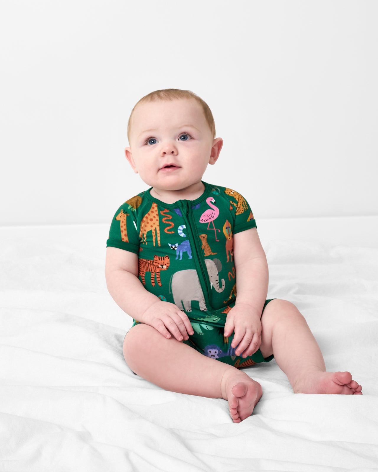 Wild Zoo Shorty Zippy - Image 2